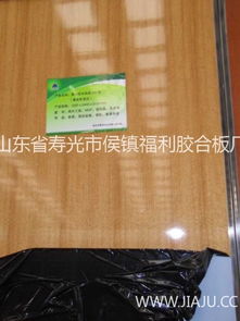 山东建材原木市场深度解析 品牌力量与招商机遇
