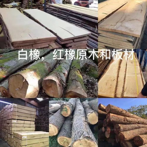 德国金威木业 用上金威订购优质进口实木，打造您的美好生活品质