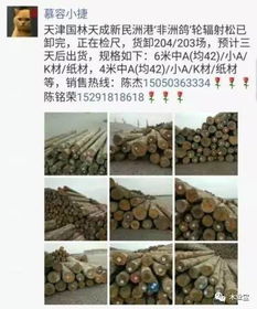 精准对接，品质与初心同行——写在精品木材销售信息发布之际